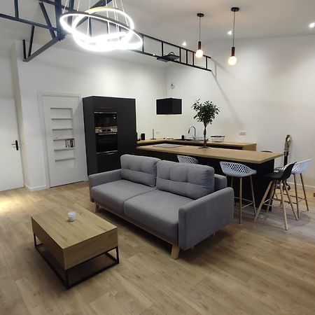 Appartement Le Secret 140M2, Proche Sanctuaires, Climatise ルルド エクステリア 写真