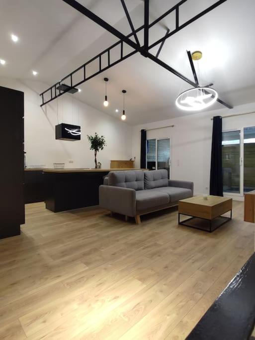Appartement Le Secret 140M2, Proche Sanctuaires, Climatise ルルド エクステリア 写真