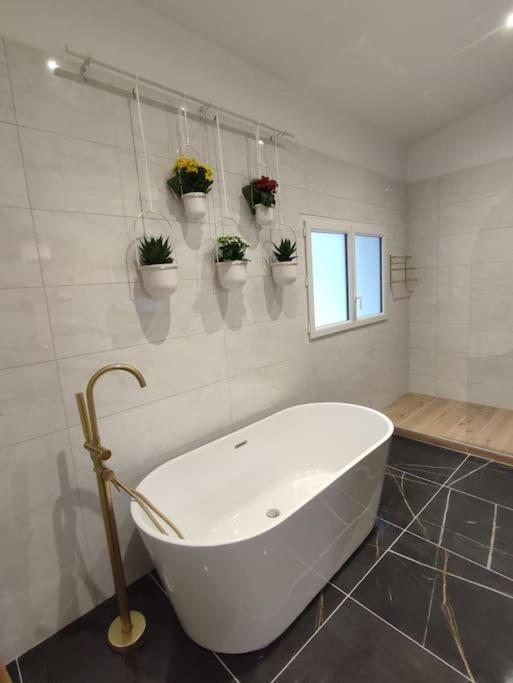 Appartement Le Secret 140M2, Proche Sanctuaires, Climatise ルルド エクステリア 写真