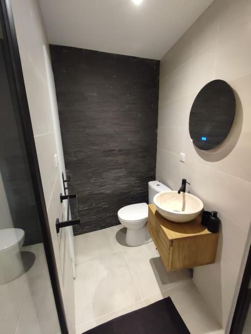 Appartement Le Secret 140M2, Proche Sanctuaires, Climatise ルルド エクステリア 写真